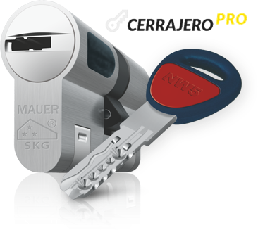 Bombines Mauer