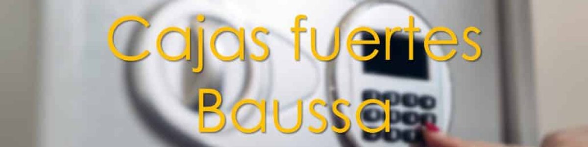 cajas fuertes baussa